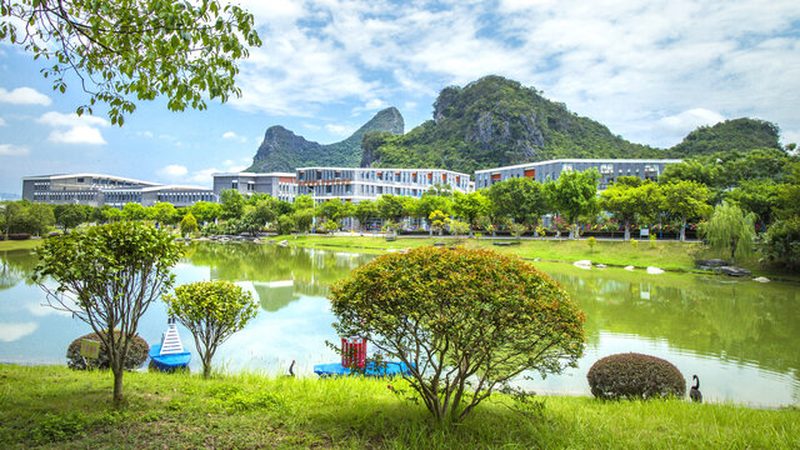 开源电子设计自动化软件：助力DIY发烧友的利器