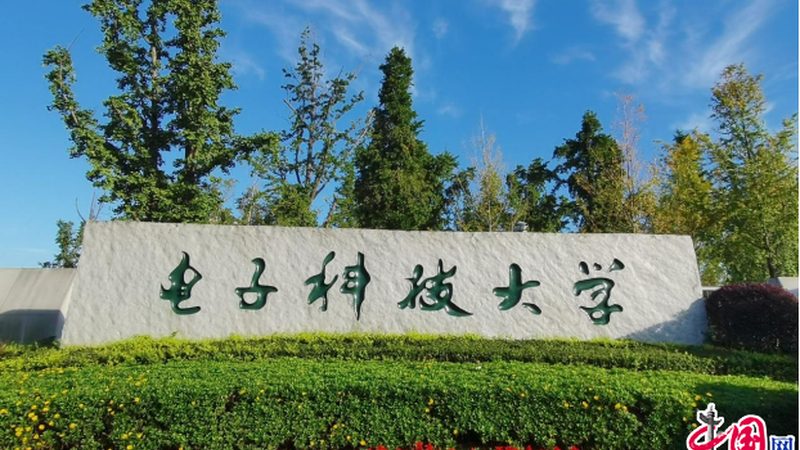 AI芯片定制开发：揭秘定制化之路