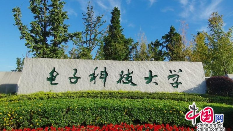 物联网芯片：揭开其与普通芯片的神秘面纱**